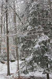 2019 Daily Planner Winter Photo Snow Covered Evergreen Branches 384 Pages