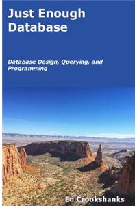 Just Enough Database