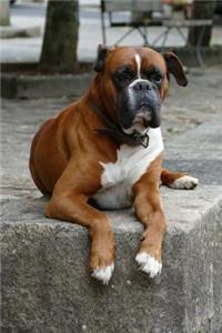 Such a Handsome Boxer Dog Journal