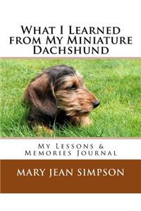 What I Learned from My Miniature Dachshund