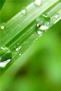Drop of Water Notebook