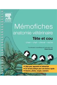 Mémofiches Anatomie Vétérinaire - Tête Et Cou