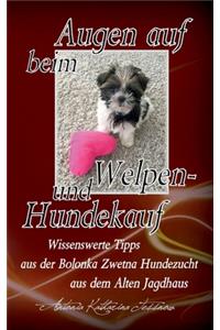 Augen auf beim Welpen- und Hundekauf