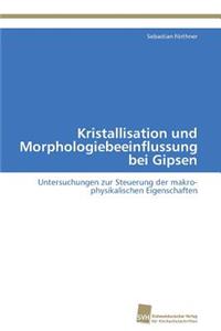 Kristallisation und Morphologiebeeinflussung bei Gipsen