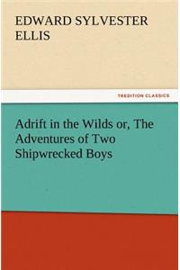 Adrift in the Wilds Or, the Adventures of Two Shipwrecked Boys