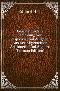 Commentar Zur Sammlung Von Beispielen Und Aufgaben Aus Der Allgemeinen Arithmetik Und Algebra (German Edition)