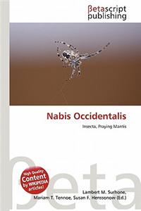 Nabis Occidentalis