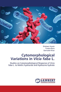 Cytomorphological Variations in Vicia faba L.