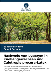 Nachweis von Lysozym in Knollengewächsen und Calotropis procera-Latex