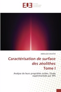 Caractérisation de surface des zéolithes Tome I