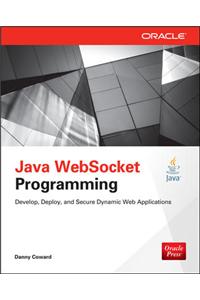 Java WebSocket Programming