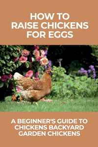 How To Raise Chickens For Eggs