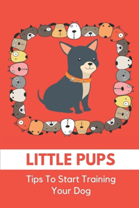 Little Pups