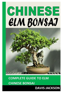 Chinese ELM Bonsai