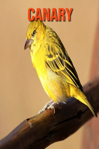 Canary