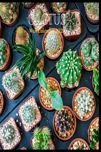Cactus Wall Calendar 2021