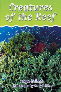 Skyracer Blue â€“ Creatures of the Reef: Inspiring guided reading for year 4.