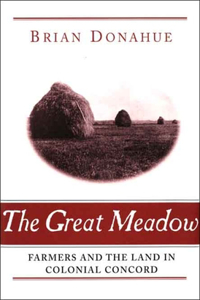 Great Meadow