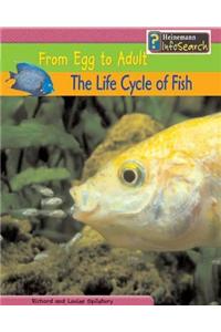 The Life Cycle of Fish