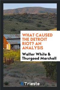 What Caused the Detroit Riot?