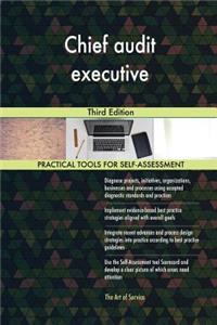 Chief audit executive Third Edition