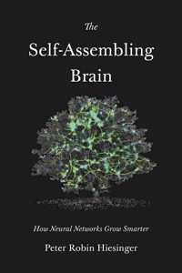 Self-Assembling Brain