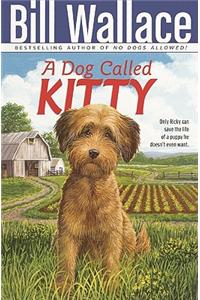 How to Hide a Butterfly and Other Insects