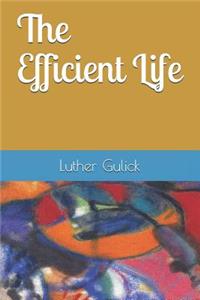 The Efficient Life