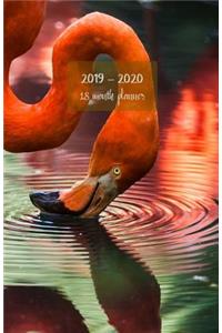 2019-2020 18 month planner