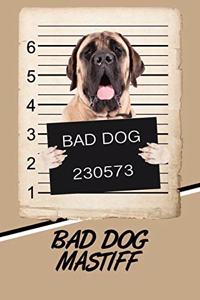 Bad Dog Mastiff