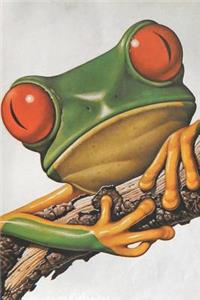 Vintage Frog Notebook