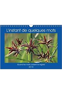 L'Instant De Quelques Mots 2018