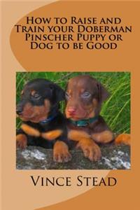 How to Raise and Train Your Doberman Pincher Puppy or Dog to be Good