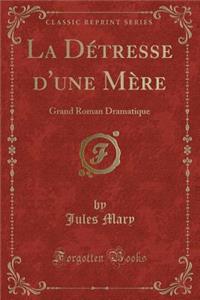 La Détresse d'Une Mère