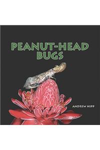 Peanut-Head Bugs