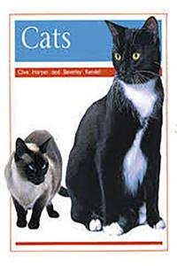 Pets: Cats