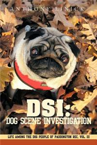 Dsi