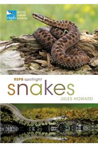 RSPB Spotlight Snakes