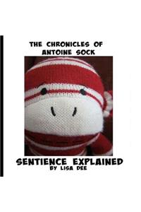 Chronicles of Antoine Sock