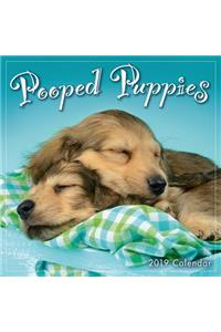 2019 Pooped Puppies Mini Calendar: By Sellers Publishing