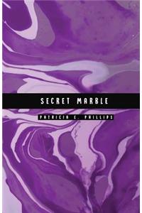 Secret Marble: Purple Marble Password Notebook Help You Conceal and Protect Your Password Information