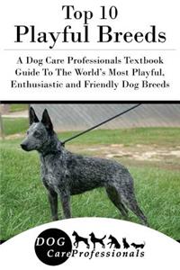 Top 10 Playful Breeds