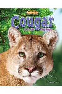 Cougar