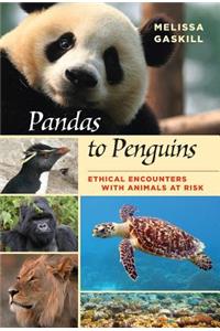 Pandas to Penguins