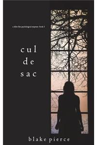 Cul de Sac (A Chloe Fine Psychological Suspense Mystery-Book 3)