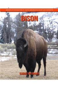 Bison