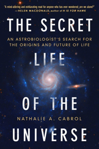 The Secret Life of the Universe