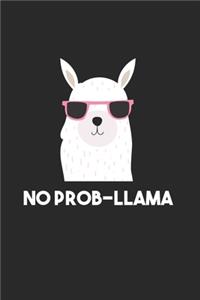 Llama Notebook