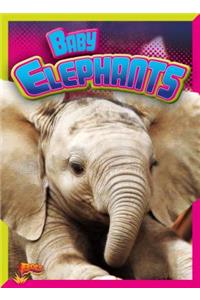 Baby Elephants