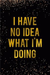I Have No Idea What I'm Doing